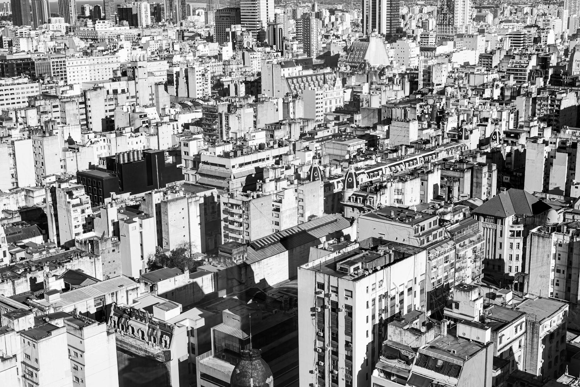 Argentine — photo 2