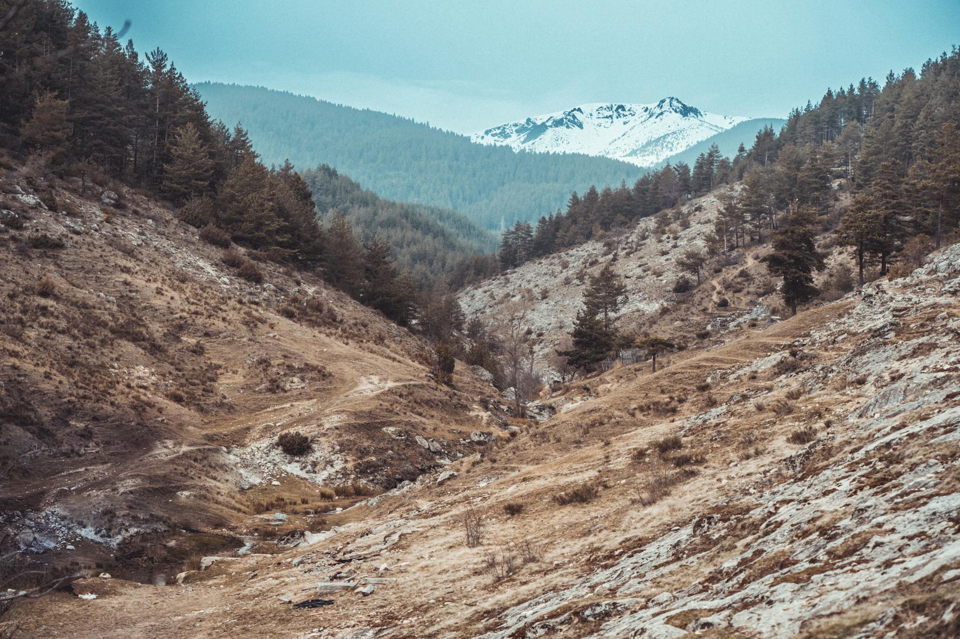 Bulgarie — photo 3