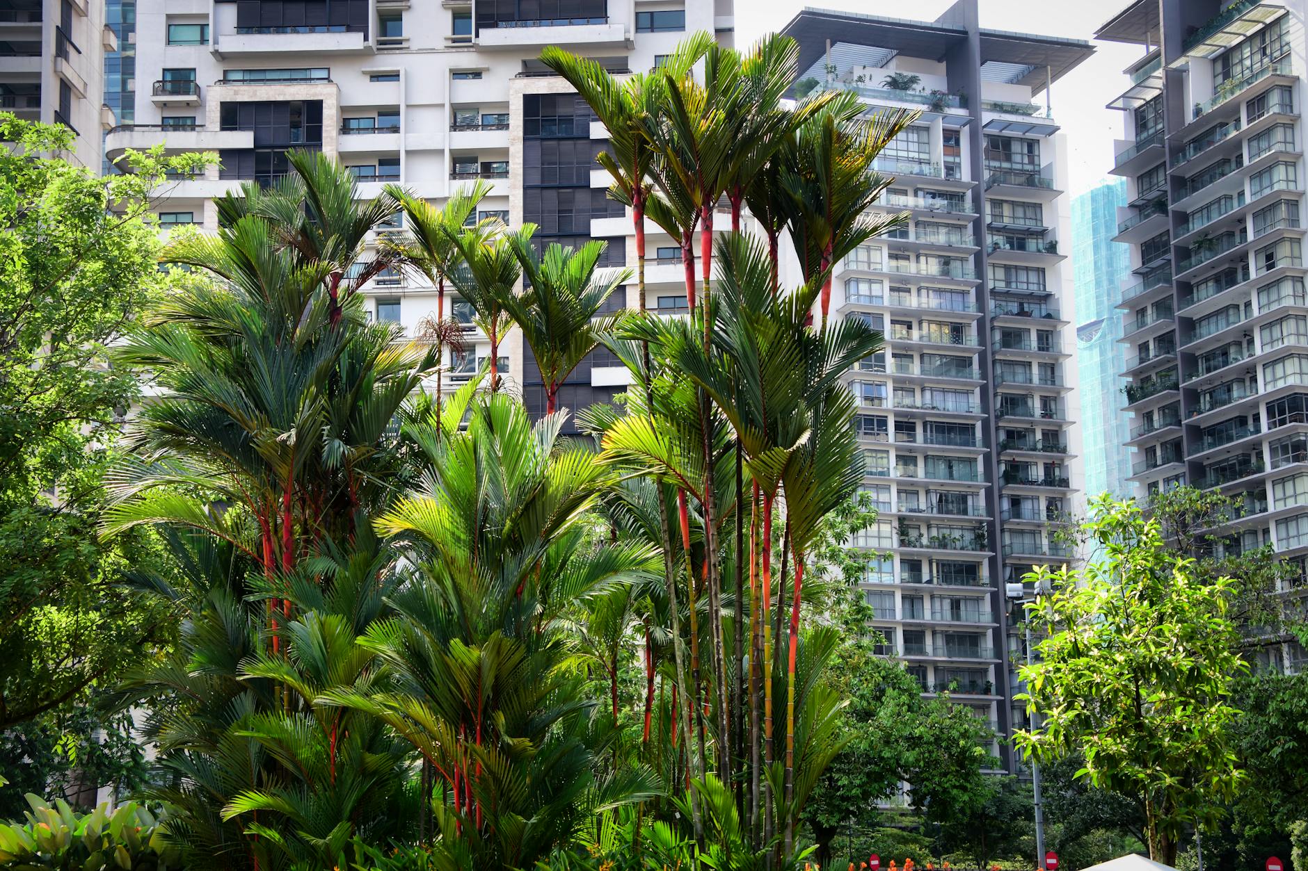 Kuala Lumpur — photo 3