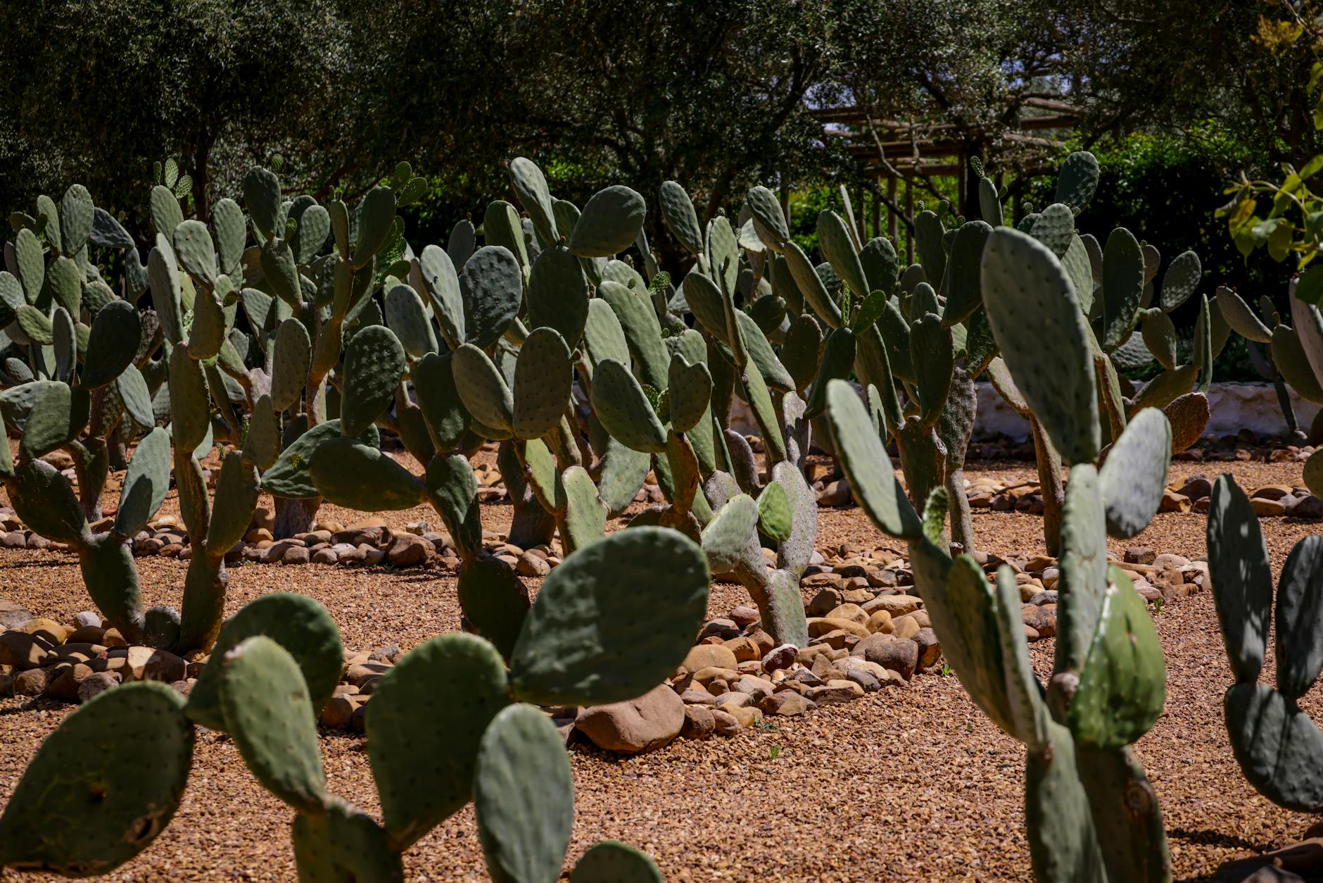 Marrakech — photo 2