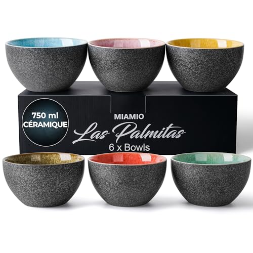 Ensemble de 6 bols en céramique polyvalents