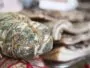 peut on manger un saucisson moisi