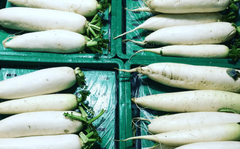 lange weiße Rübe