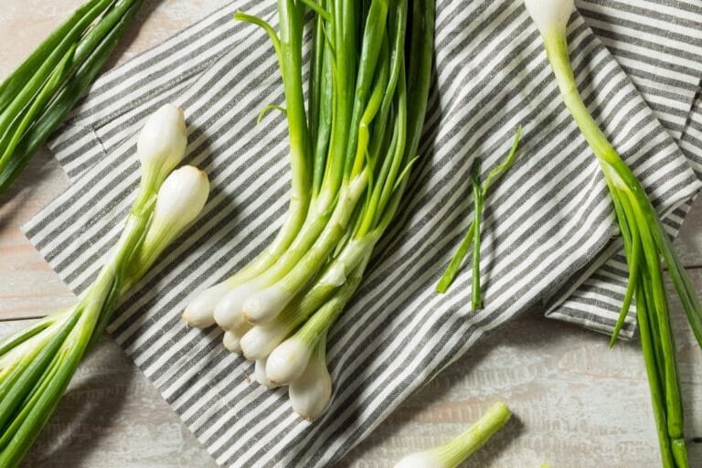 spring-onions-oignons-de-printemps-ou-c-bettes