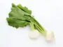 cooking time for turnips in water