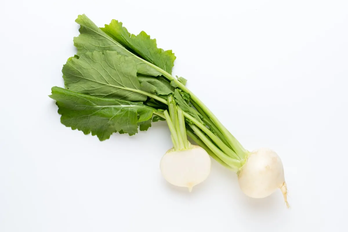 cooking time for turnips in water