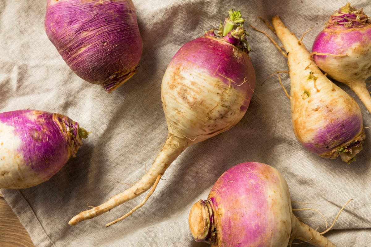 Tiempo de cocción del nabo hervido: 1