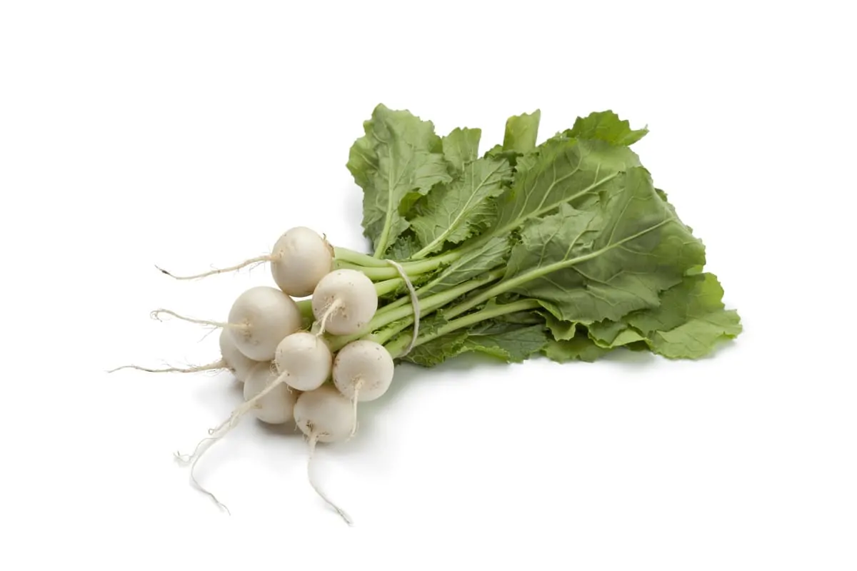 Boiled turnip cooking time 2