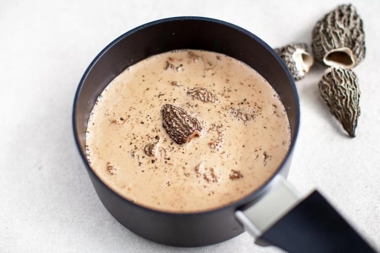 Salsa de setas morillas secas