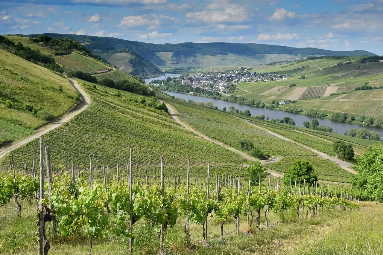 domaine viticole Var