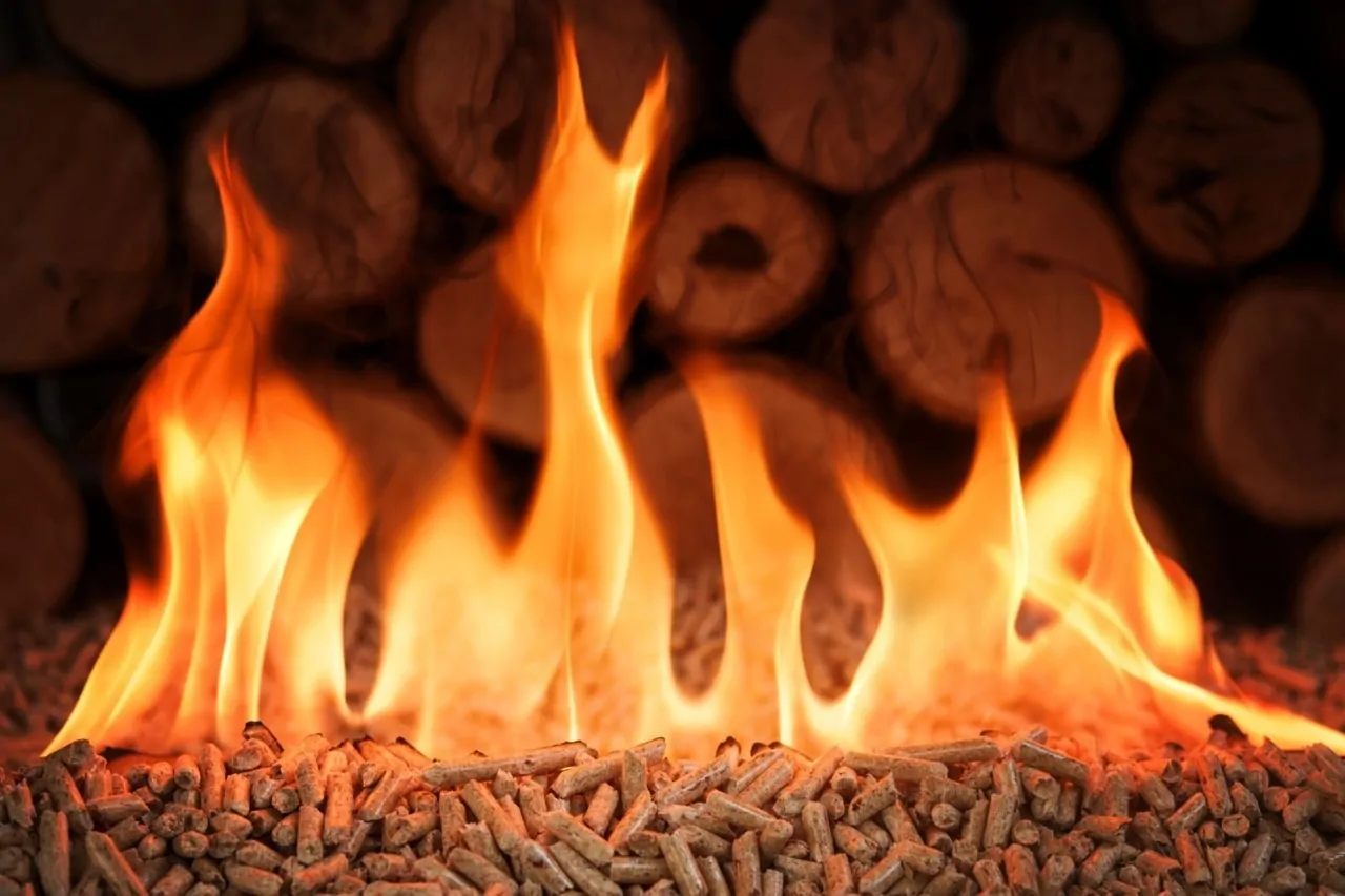 Wood heating with logs or pellets