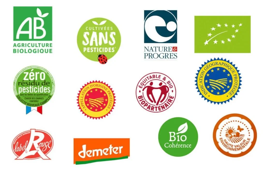 logotipo orgánico o saludable