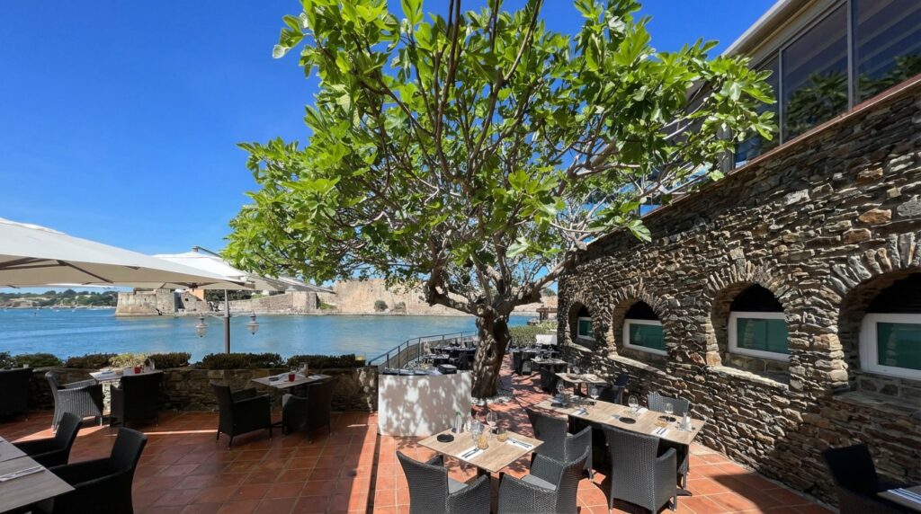 una higuera en un restaurante o una casa