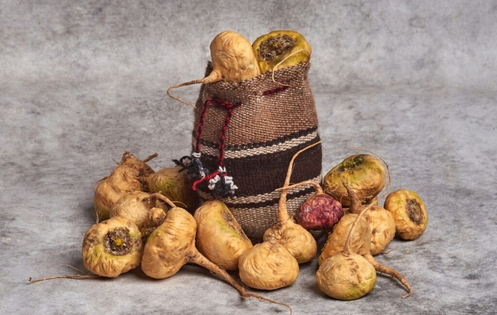 La radice di maca come supercibo