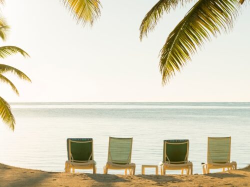 hacer un viaje al sol en invierno