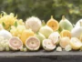 Discover 25 original and little-known white fruits to diversify and enrich your diet with unique and nutritious flavors.