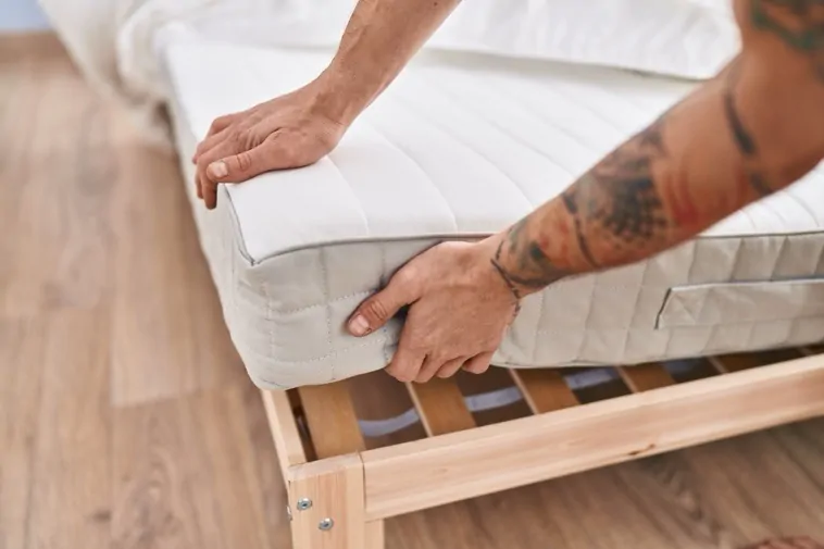 Recherche de punaises de lit dans un matelas à l'hôtel