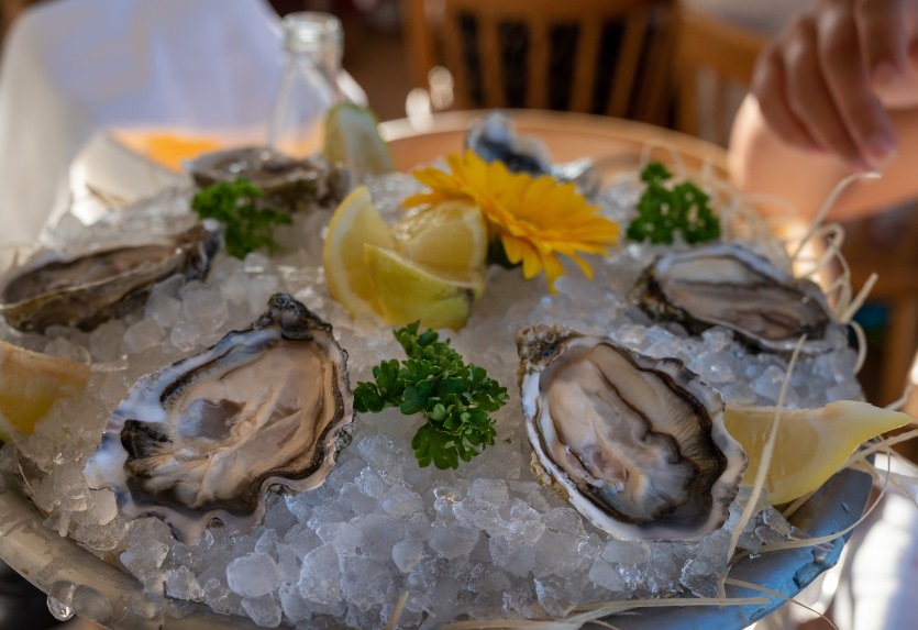 Freshness and survival of oysters Freshness and survival of oysters