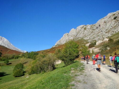 Débuter le trail dans les Alpes : itinéraires accessibles et panoramas exceptionnels