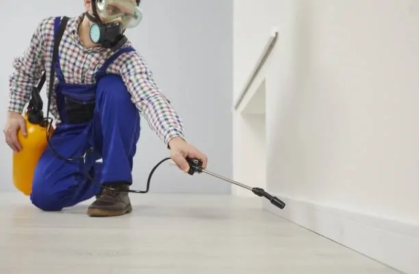 Profesionales del control de plagas