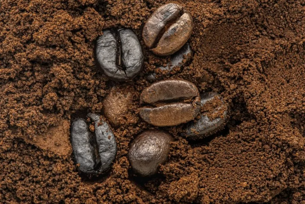 An Italian coffee bean that suits you Italian whole bean coffee that suits you