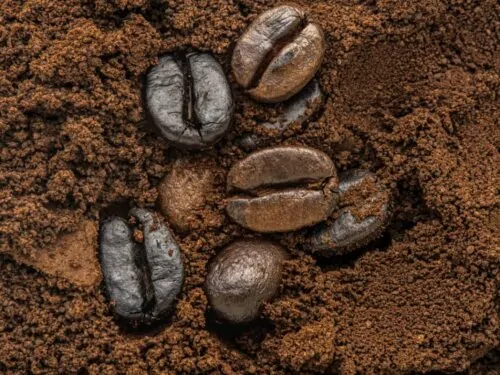 Café italiano en grano entero que se adapta a ti