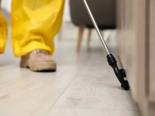 Control de plagas en los Vosgos