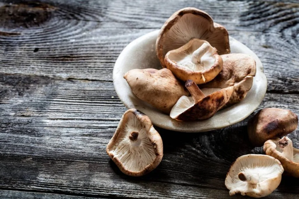 Shiitake i lentinan wspomagające odporność