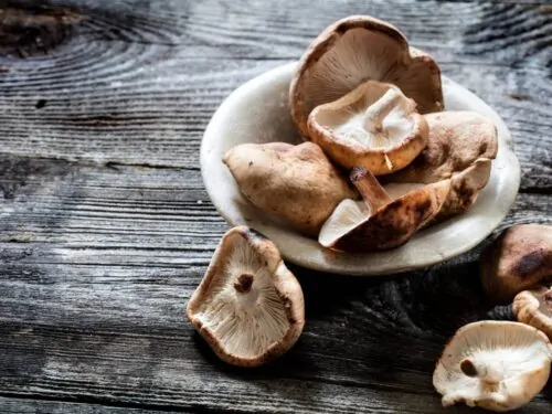 Shiitake et lentinane pour soutien de votre immunité