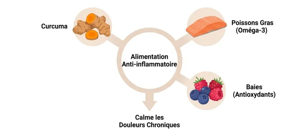 Plats sains anti-inflammatoires avec curcuma, baies et poissons gras Plats sains anti-inflammatoires avec curcuma, baies et poissons gras