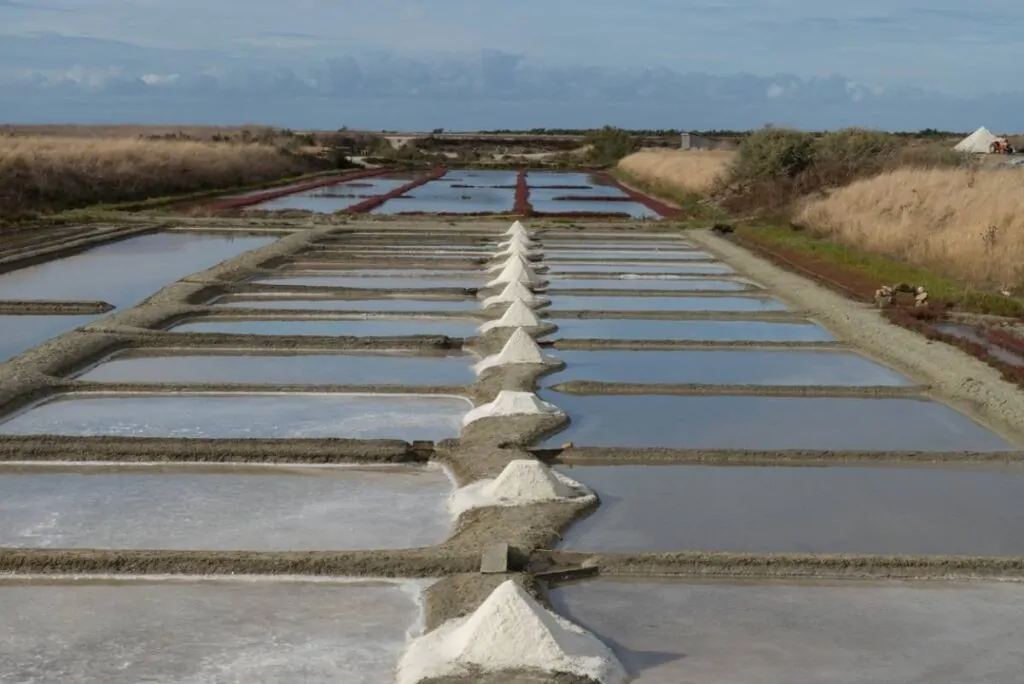 außergewöhnliche Aromen auf der Insel Ré