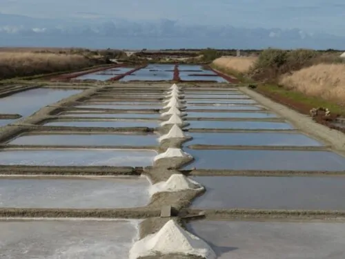 saveurs d'exception sur l'île de Ré