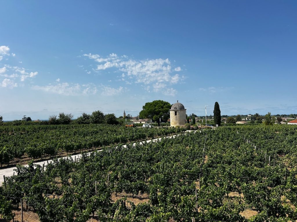 location fotografica tra Émilion e Pomerol