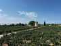 photo lieu entre Émilion et Pomerol